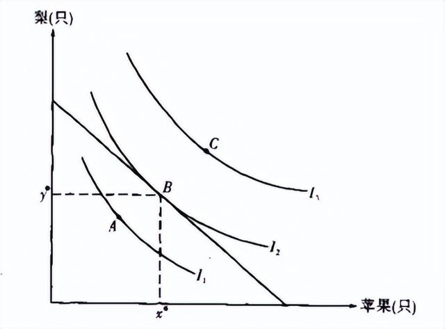 微观经济学论文选题方向，微观经济学论文1500字