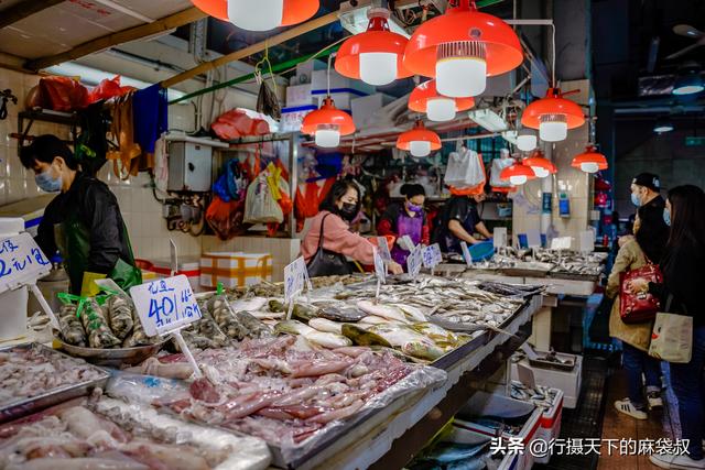 香港和澳门图片大全五行资料，香港和澳门图片大全株洲市茶陵思源中学开学时间