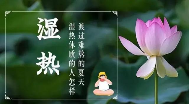 祛湿中成药十大排名（十大祛湿药中成药方）