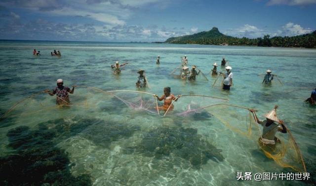 0000米恐怖深海鱼图片,世界上最大的生物是什么生物，10000米恐怖深海鱼图片盘点"