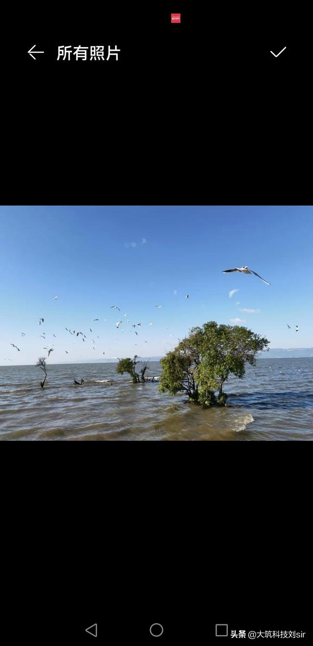 手机软件snapseed修图教程(1)，手机修图snapseed软件怎么用