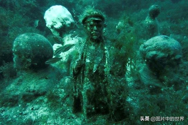 0000米恐怖深海鱼图片,世界上最大的生物是什么生物，10000米恐怖深海鱼图片盘点"