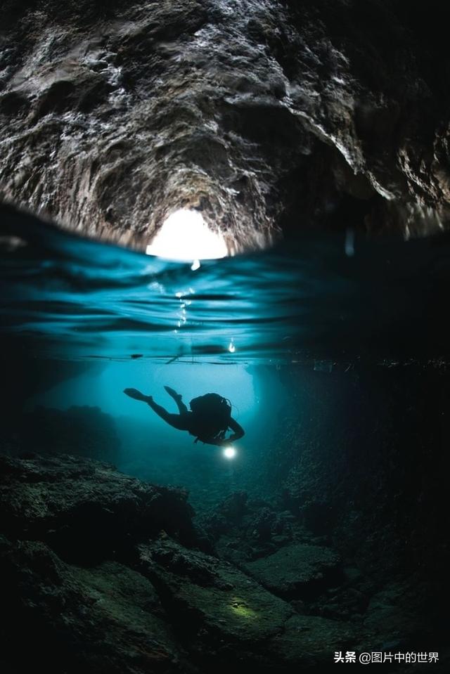 0000米恐怖深海鱼图片,世界上最大的生物是什么生物，10000米恐怖深海鱼图片盘点"