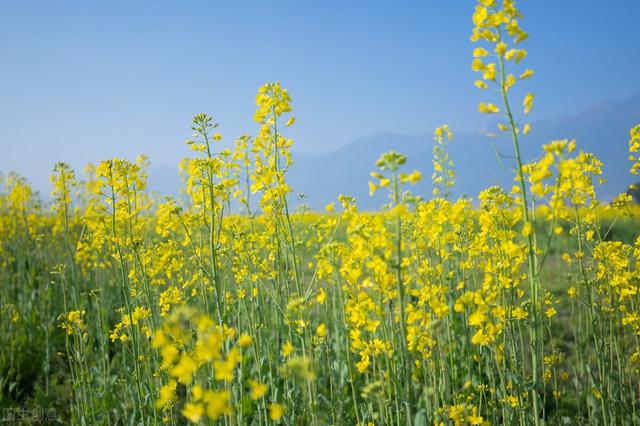 简单大气的家庭群名字,简单大气的家庭群名字大全