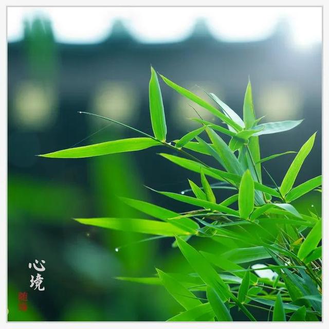 沉思的意思解释,沉思的意思解释二年级