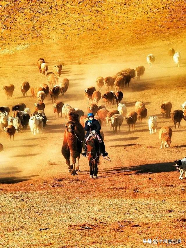 十月份国内哪里旅游好玩,十月份国内哪里旅游好玩儿