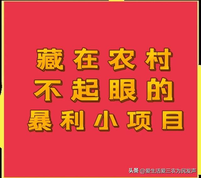 农村办厂暴利项目加盟，农村办厂暴利项目加盟怎么办