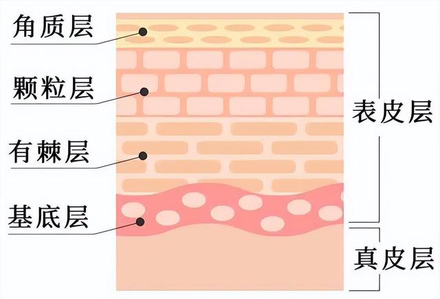 八宝粥品牌十大排行榜图片,八宝粥品牌十大排行榜图片大全