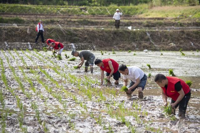 乡镇公务员有哪些岗位可以报考，乡镇公务员有哪些岗位可以报考的