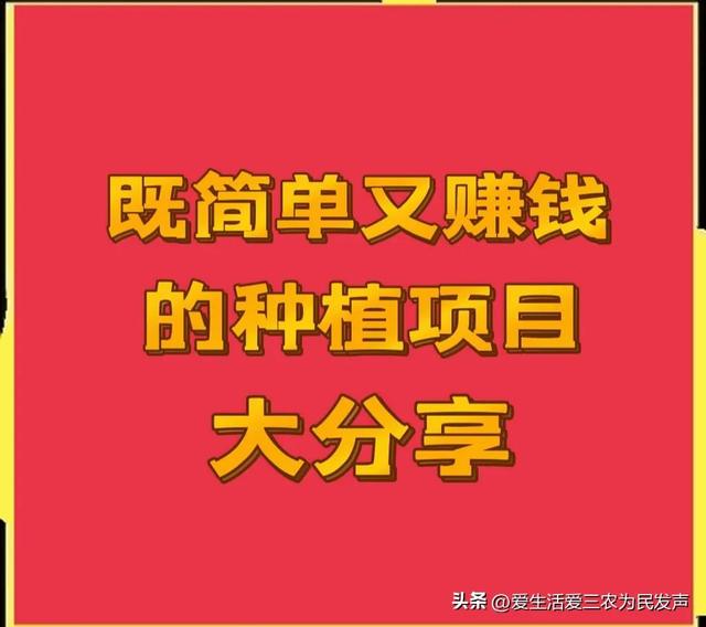 未来10大暴利种植树木，未来10大暴利种植树木有哪些