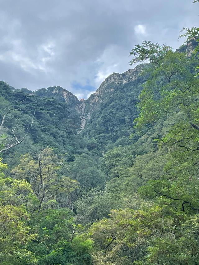 泰山一般要爬几个小时上去,泰山一般要爬几个小时上去的