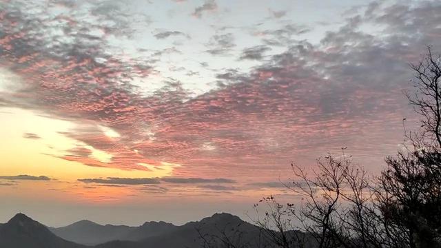 日羊注意什么,什么羊好日