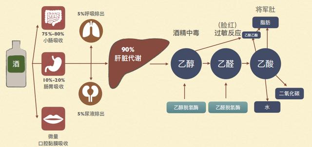 这歌太上头了是什么意思,这首歌太上头了是什么意思