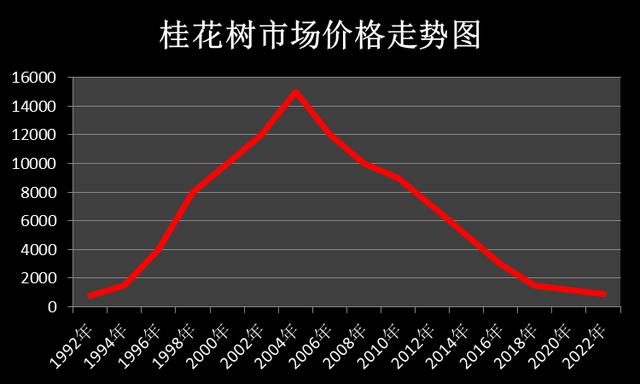 香樟树20公分报价合肥,20公分香樟树报价多少