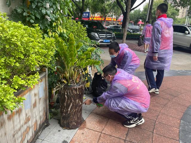 劳动教育黑板报素材，劳动教育黑板报素材文字