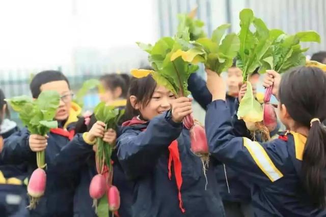 关于劳动节的内容资料_简单，关于劳动节的内容资料_简单介绍