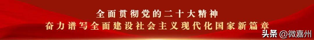 践行十爱优秀作文800字，践行十爱优秀作文800字高中