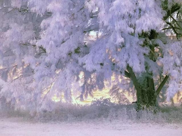 长篇小说《洪渎轶事》节选（四）