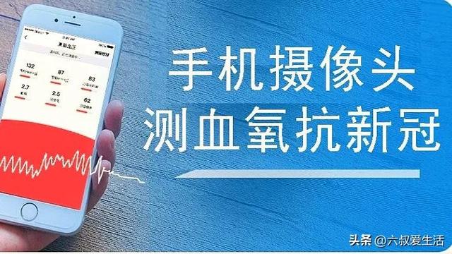 心跳信息素无减，心跳信息素无减小说