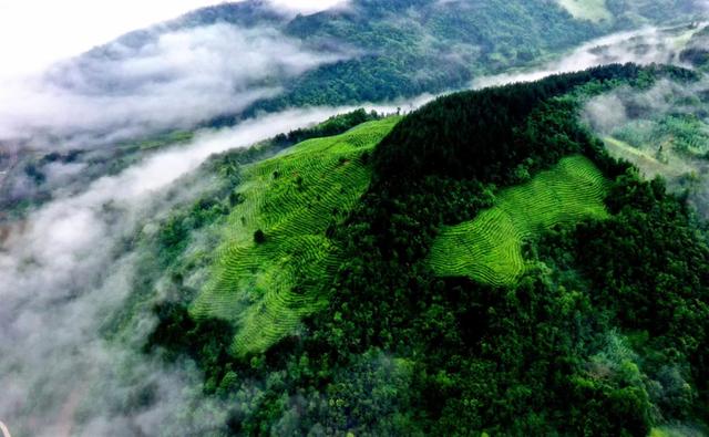 大凉山孟阳真实情况小云云,凉山孟阳小云云真实图片