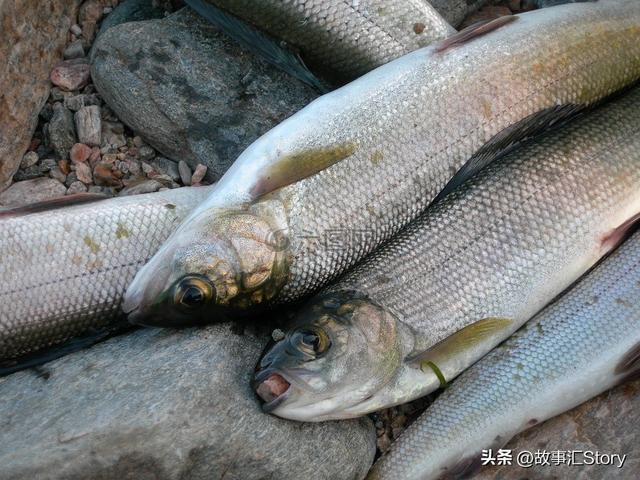 投资一天赚80,赚钱秒到账的游戏"