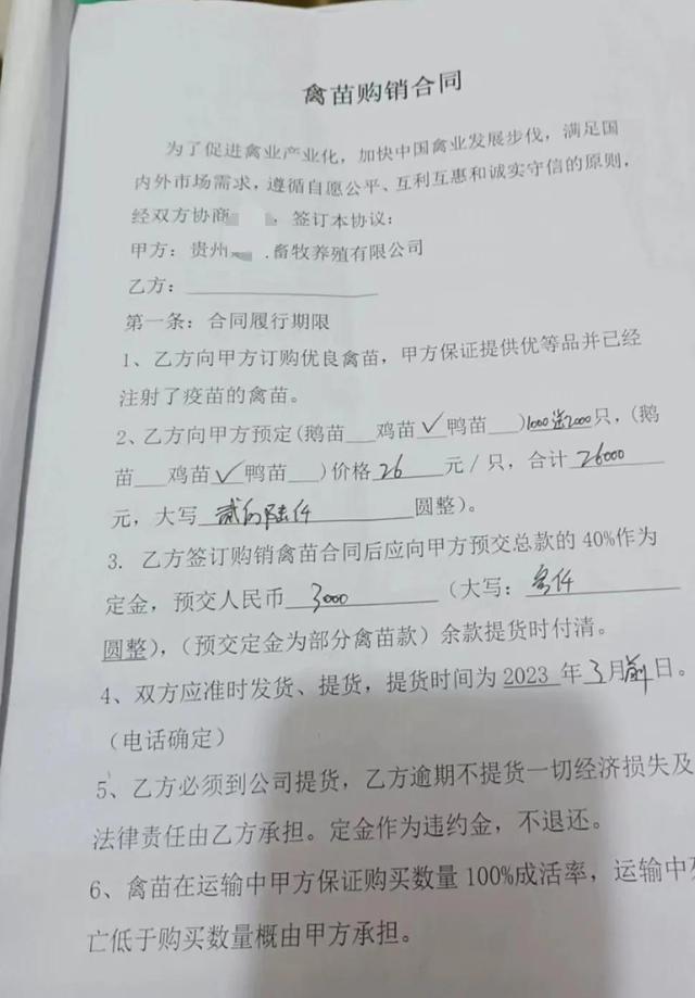 养鹅的大棚怎么搭建,养鹅的技术和方法