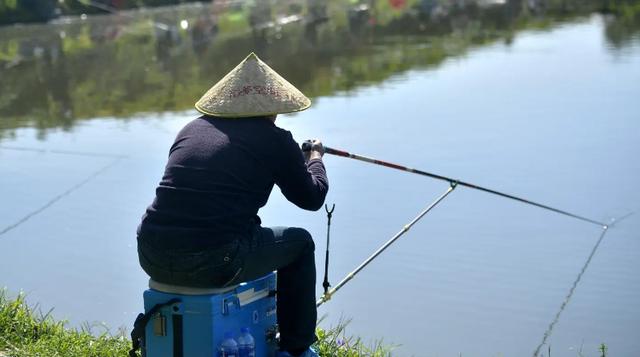 鮰鱼为什么是最脏的鱼,鮰鱼和清江鱼是一样的吗