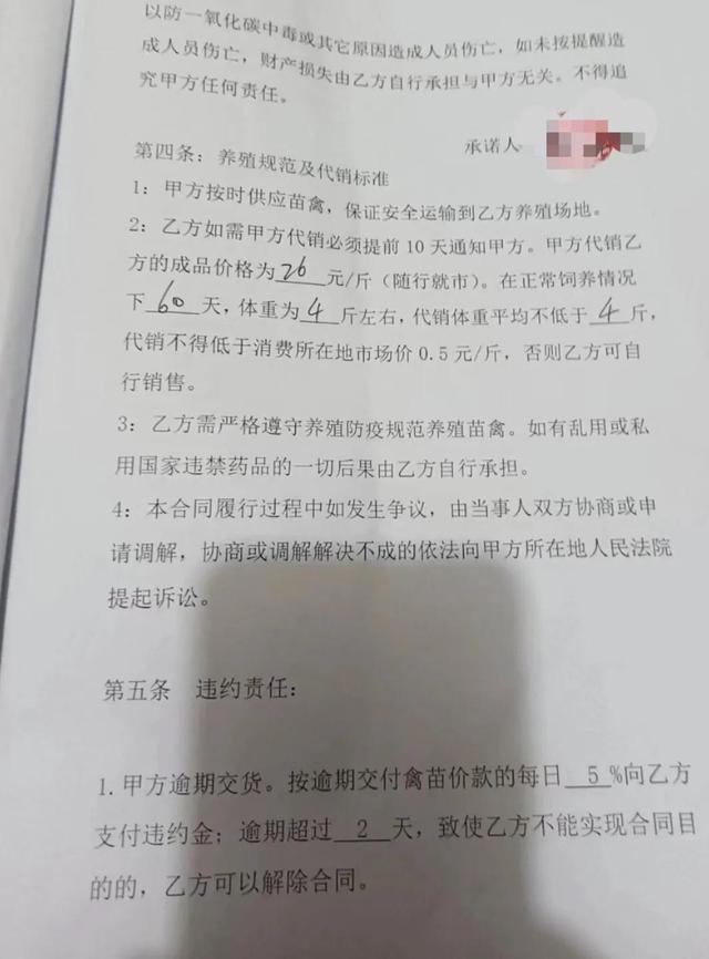 养鹅的大棚怎么搭建,养鹅的技术和方法