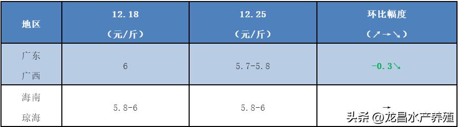 牛蛙批发价多少钱一斤,500克牛蛙大概多少只