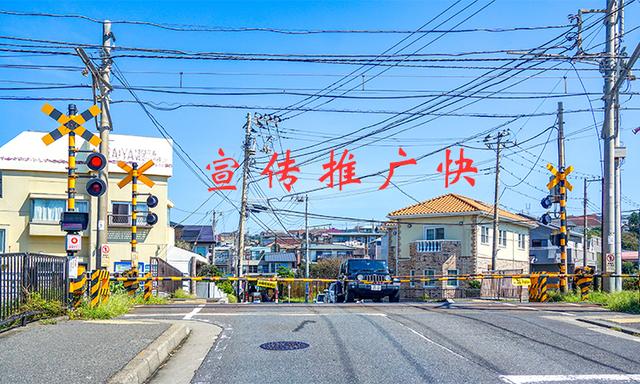 石家庄粮油批发粮油在哪里进货呀,大米批发进货渠道