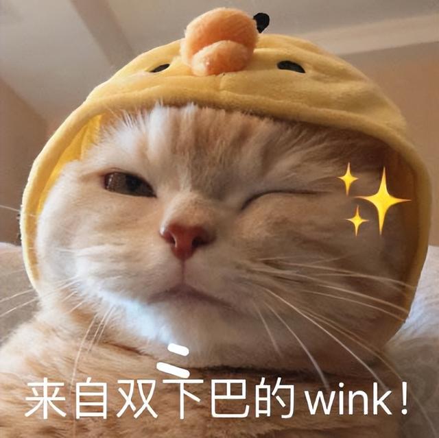 猫不请自来兆头,猫不请自来兆头送走不养可以吗