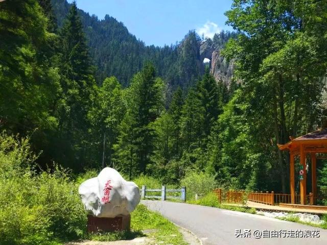 旅游景区哪里好玩山东,山东省旅游景区哪里好玩