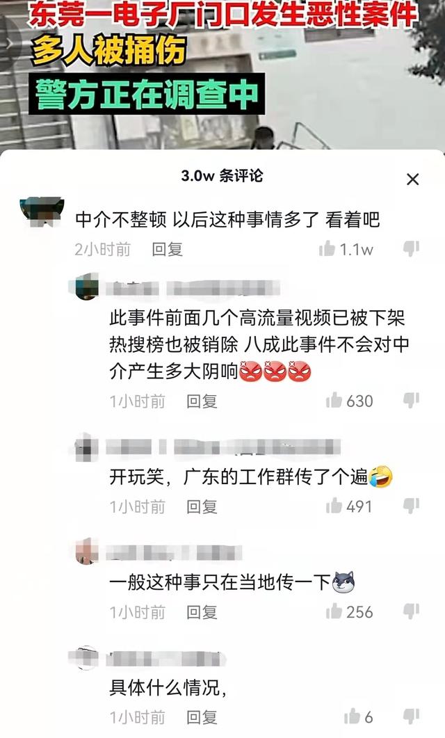 龙华电子厂是做什么的,龙华电子厂区