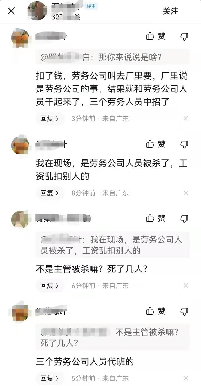 龙华电子厂是做什么的,龙华电子厂区