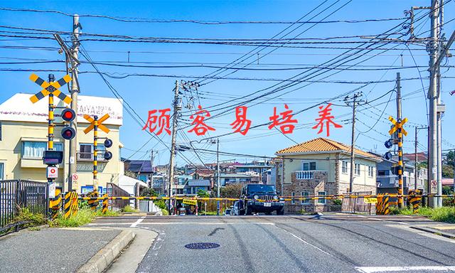 石家庄粮油批发粮油在哪里进货呀,大米批发进货渠道