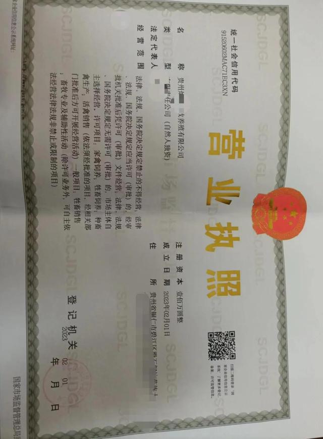 养鹅的大棚怎么搭建,养鹅的技术和方法