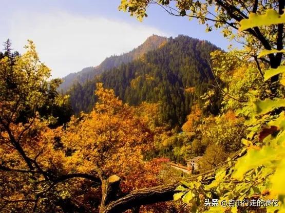 旅游景区哪里好玩山东,山东省旅游景区哪里好玩