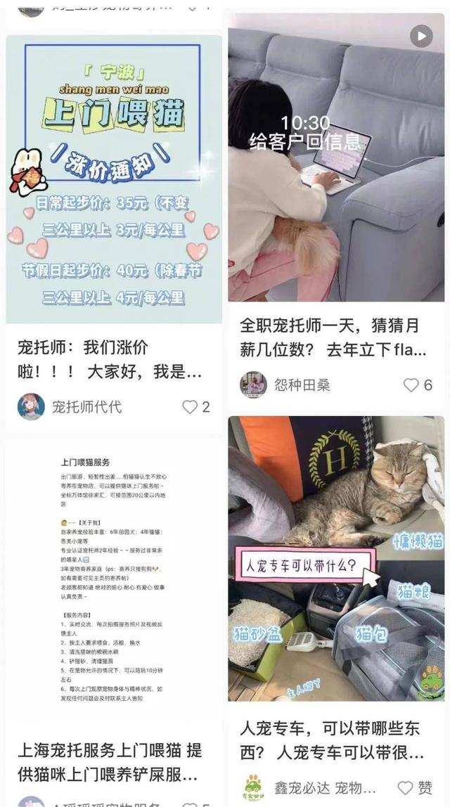 小红书蒲公英平台官网，蒲公英平台官网