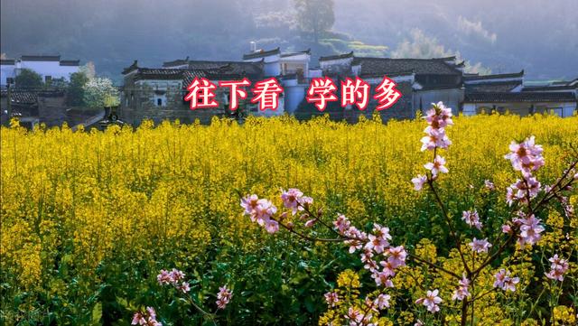 天学会自媒体短视频制作，抖音作品垂直有用吗"