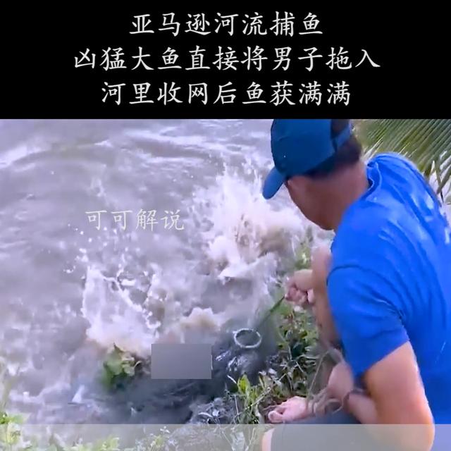 抖音无水印解析在线网站,抖音无水印解析在线使用