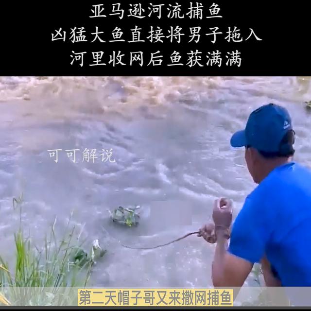 抖音无水印解析在线网站,抖音无水印解析在线使用